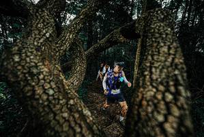 BIB: 
                            <button type="button" onclick="openModal(25693023)" class="btn btn-primary btn-sm float-right btn-popup" data-toggle="modal" data-target=".modal-high-quality">
                        <i class="fas fa-shopping-cart"></i> Add to Cart
                    </button>
                                            <button type="button" onclick="isThisMe(25693023, true)" class="btn btn-success btn-sm float-right btn-popup btn-isme hidden" data-toggle="tooltip" data-placement="bottom" title="นี่คือรูปของคุณใช่ไหม คลิกที่นี่เพื่อเอาเข้าอัลบั้ม">
                        <i class="fas fa-plus"></i> Add to album
                    </button>
                    <button type="button" onclick="isThisMe(25693023, false)" class="btn btn-warning btn-sm float-right btn-popup btn-isnotme hidden">
                        <i class="fas fa-ban"></i> Remove from album
                    </button>